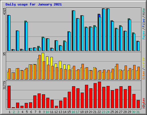 Daily usage for January 2021