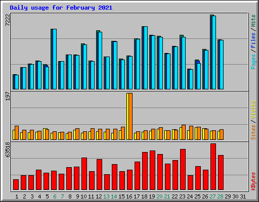 Daily usage for February 2021