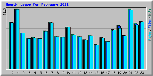 Hourly usage for February 2021