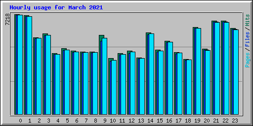 Hourly usage for March 2021