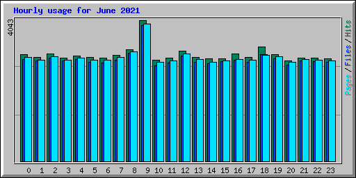 Hourly usage for June 2021