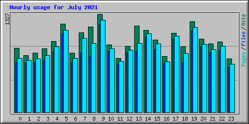 Hourly usage for July 2021