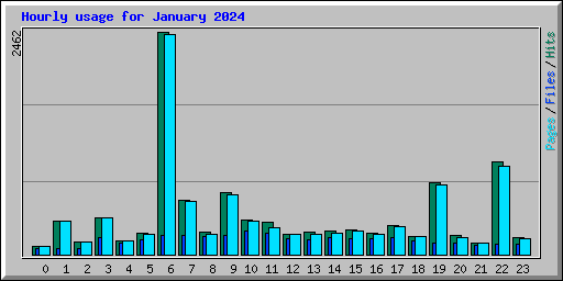 Hourly usage for January 2024